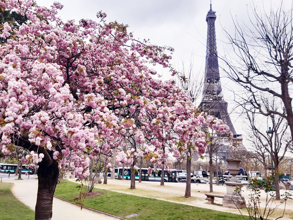 When Is the Best Time to Visit Paris? When Is the Best Time to Visit Paris?