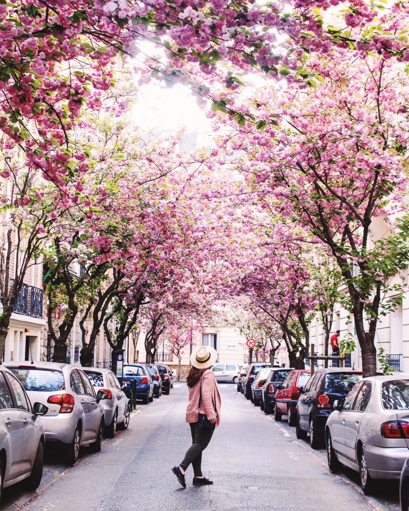 When Is the Best Time to Visit Paris? When Is the Best Time to Visit Paris?