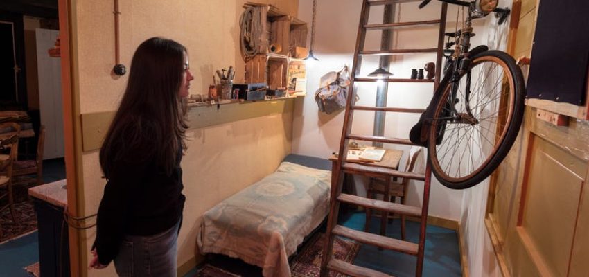 67a116927bb3f854015b8b42width800ampformatjpegampautowebp 67a116927bb3f854015b8b42width800ampformatjpegampautowebp