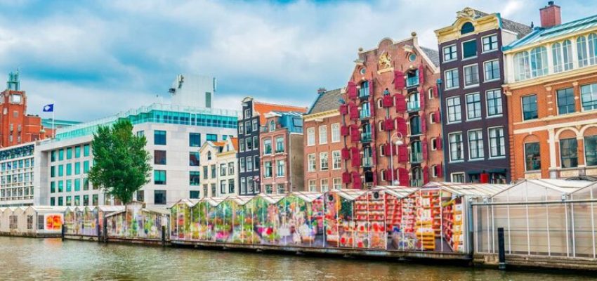 Mercado-de-las-Flores-1024x373